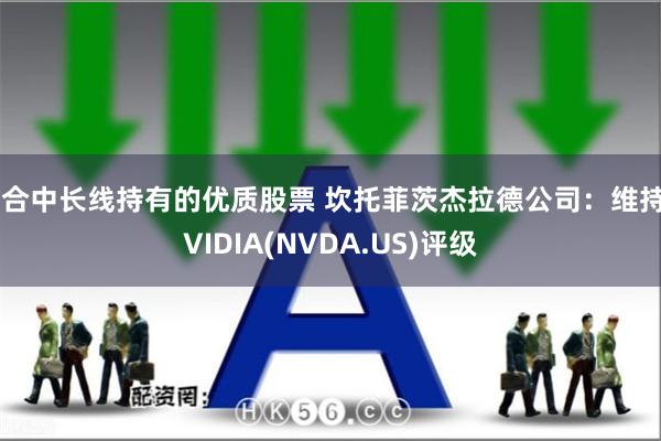 适合中长线持有的优质股票 坎托菲茨杰拉德公司：维持NVIDIA(NVDA.US)评级