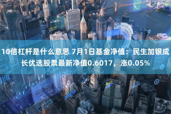 10倍杠杆是什么意思 7月1日基金净值：民生加银成长优选股票最新净值0.6017，涨0.05%