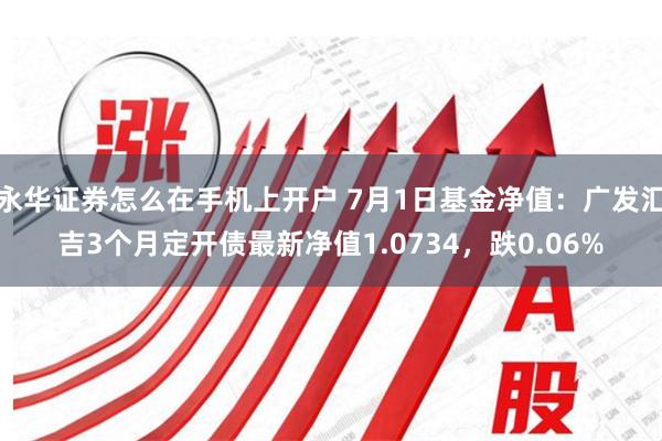 永华证券怎么在手机上开户 7月1日基金净值：广发汇吉3个月定开债最新净值1.0734，跌0.06%