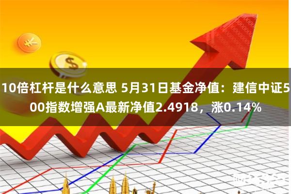 10倍杠杆是什么意思 5月31日基金净值：建信中证500指数增强A最新净值2.4918，涨0.14%