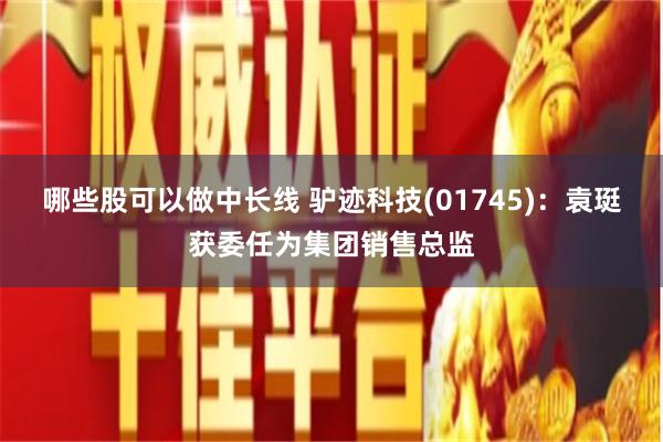 哪些股可以做中长线 驴迹科技(01745)：袁珽获委任为集团销售总监