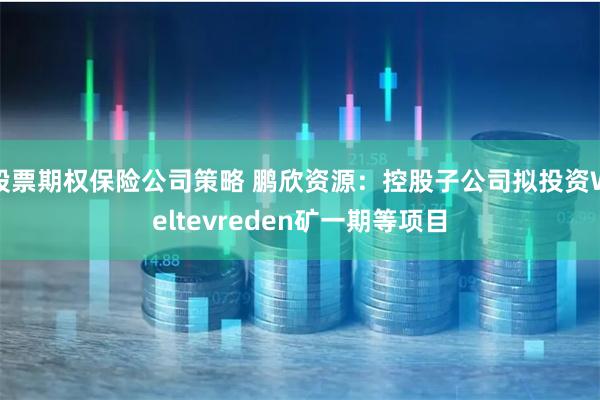 股票期权保险公司策略 鹏欣资源：控股子公司拟投资Weltevreden矿一期等项目