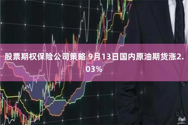 股票期权保险公司策略 9月13日国内原油期货涨2.03%