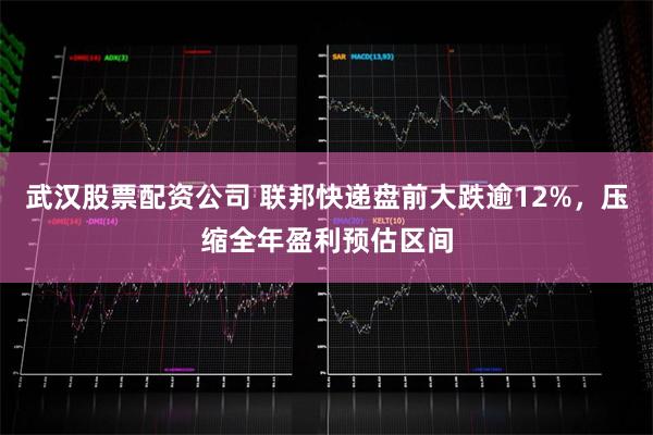 武汉股票配资公司 联邦快递盘前大跌逾12%，压缩全年盈利预估