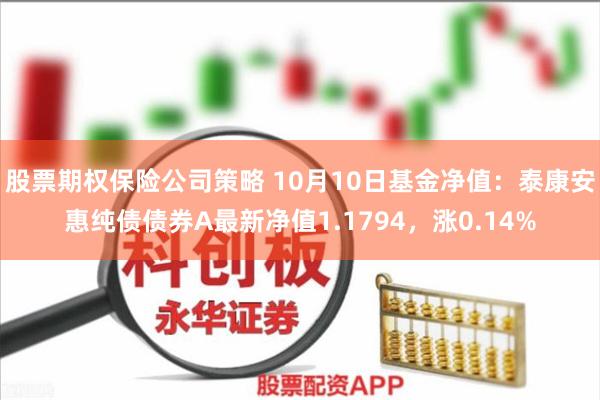 股票期权保险公司策略 10月10日基金净值：泰康安惠纯债债券