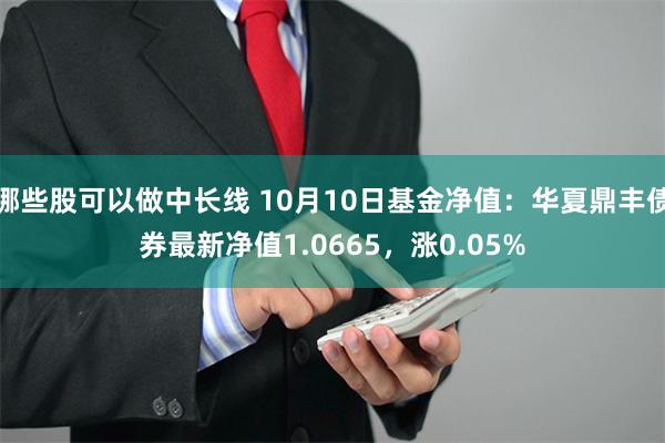 哪些股可以做中长线 10月10日基金净值：华夏鼎丰债券最新净