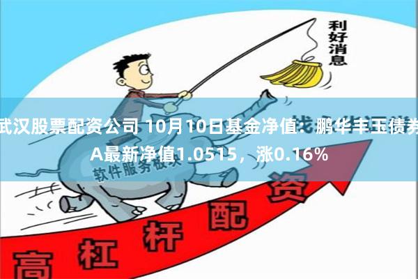 武汉股票配资公司 10月10日基金净值：鹏华丰玉债券A最新净