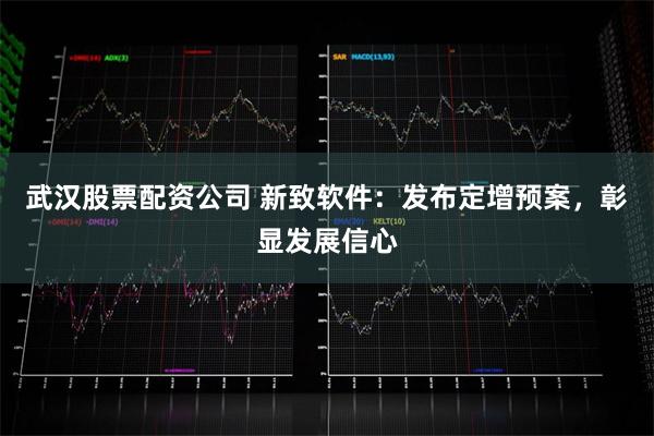 武汉股票配资公司 新致软件：发布定增预案，彰显发展信心