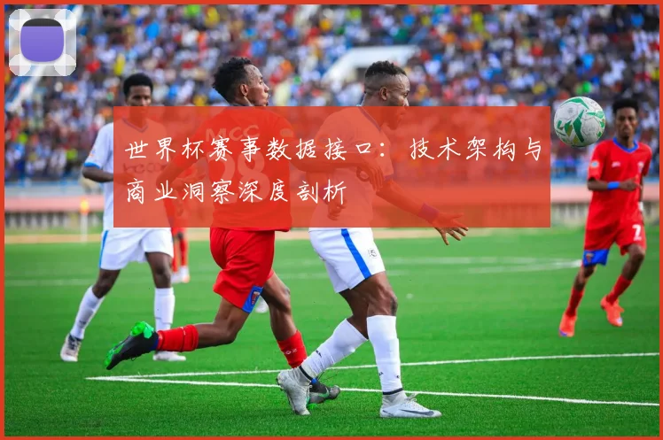 世界杯赛事数据接口:技术架构与商业洞察深度剖析