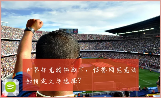 世界杯竞猜热潮下，信誉网究竟该如何定义与选择？